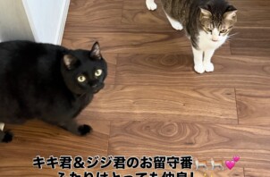仲良しのキキ君ジジ君