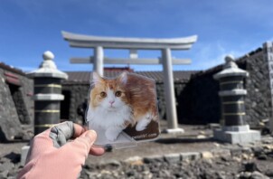 お客様フォト(post1）