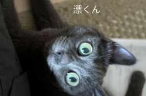 漂くんのお世話に行きました