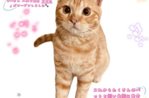 「日本ペットシッターサービス八王子南店　ひなた」本日オープンしました❗️🐾
