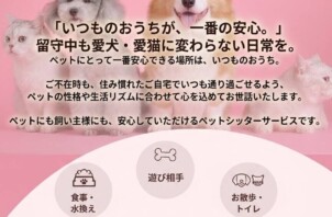旅行・出張・急な外出でも安心！ごはん・お散歩・遊び相手をまるごとサポート。